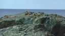 Professor da UFPB integra expedição científica na região subantártica do Chile