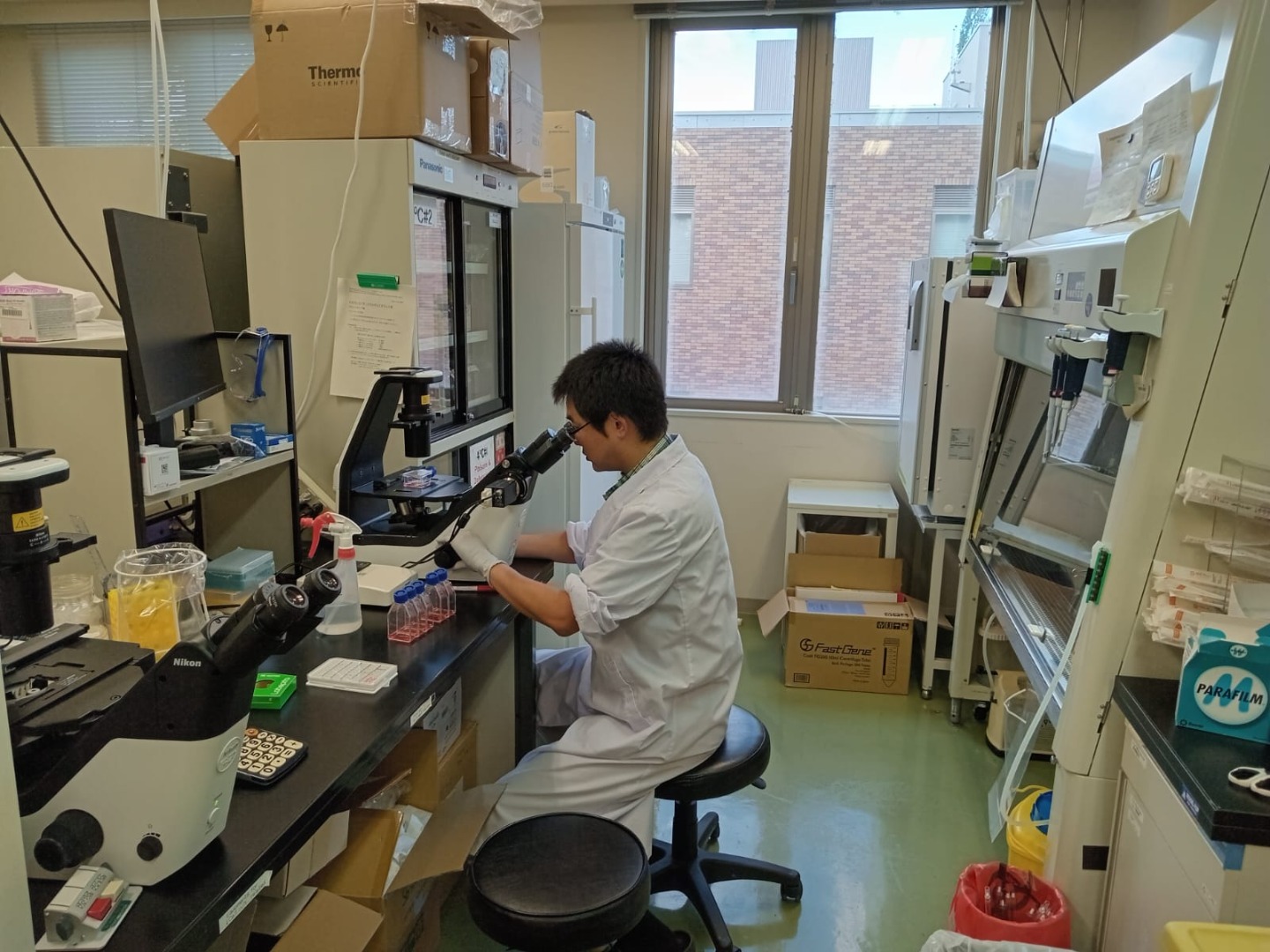 241020254.jpeg 241020254.jpeg