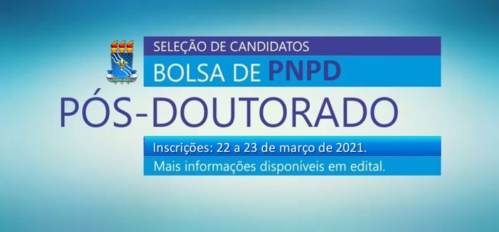 Chamada PNPD