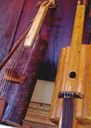 Viola de buriti
