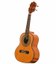 Cavaquinho