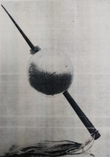 Imagem Cutõe 
(retirada do livro de Helza Camêu)
