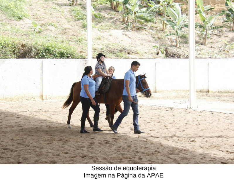 Sessão de equoterapia. IMAGEM- Página da APAE de Areia Sessão de equoterapia. IMAGEM- Página da APAE de Areia