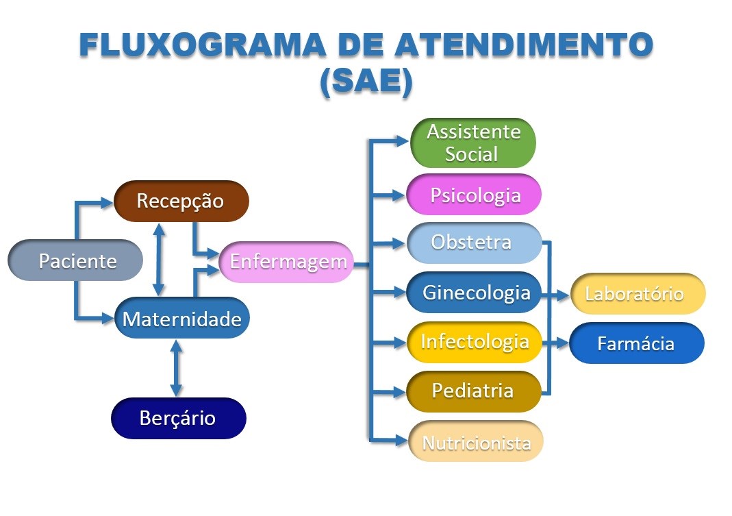 Fluxograma do SAE-HULW 100k.jpg